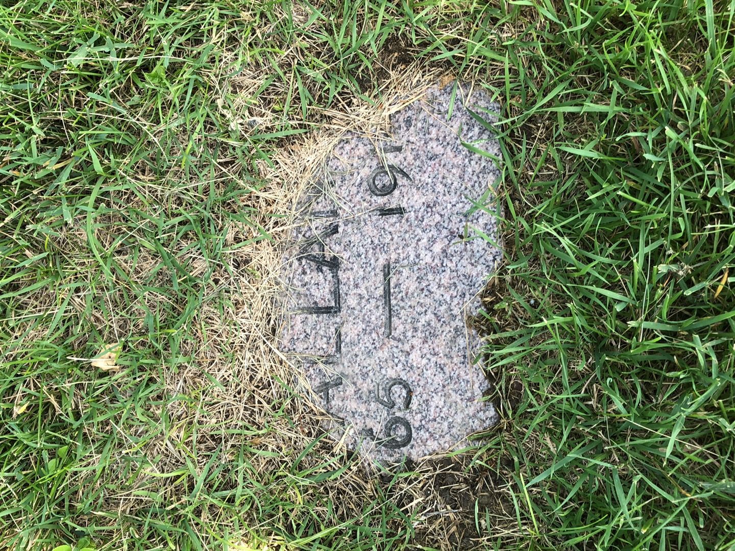 Louise Bellamy Tallant's grave. Photo 1
