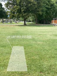 Interactive Lot Selector